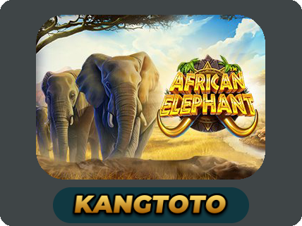 African Elephant